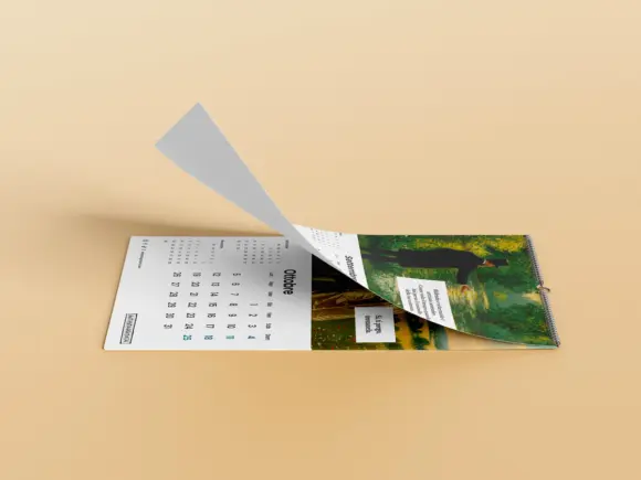 Calendario da parete Antipatia Gratuita 2026