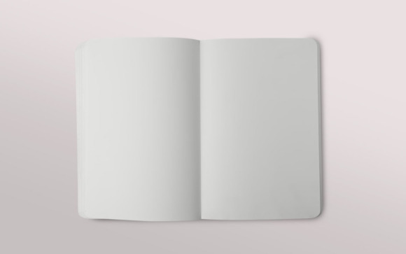 Immagine del quaderno aperto di Antipatia Gratuita