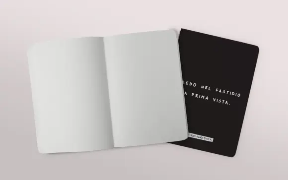 Immagine del quaderno di Antipatia Gratuita con in copertina il meme "Credo nel fastidio a prima vista". In primo piano il quaderno aperto, in secondo piano il quaderno chiuso con visibile la copertina frontale.